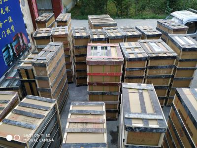 實(shí)力展示11